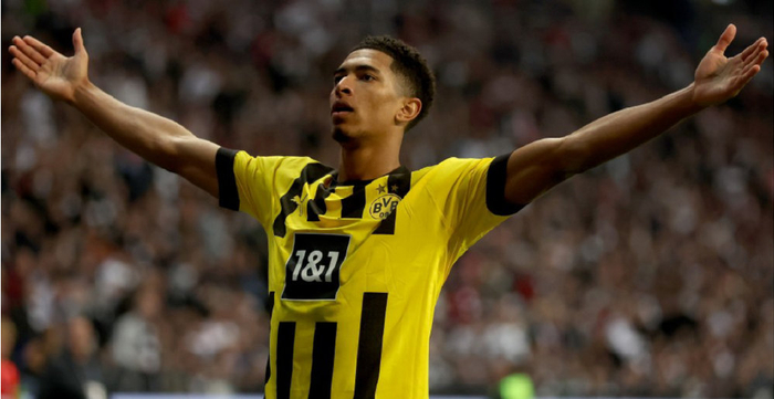 队员还会主 队员还会主