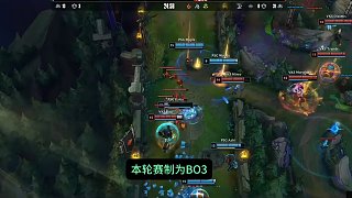 内维斯 内维斯